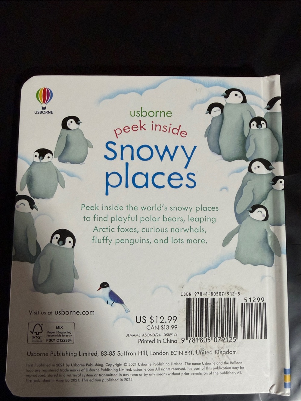 USBORNE Peep Inside Snowy places Board book - Picture 3 of 3